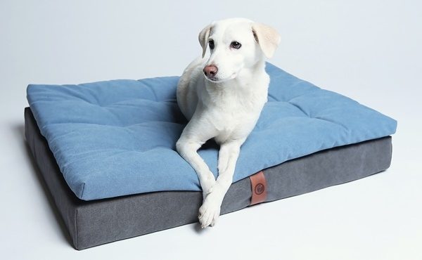 Moon Basalt dog bed