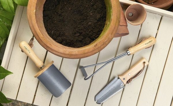 Tools for succulent success