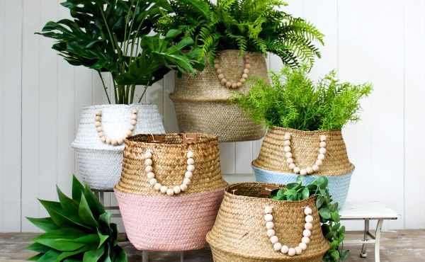 Must have basketware