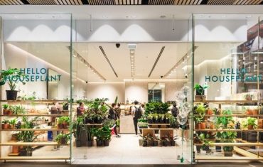 Hello Houseplant makes gifting a plant an easy option for Australians