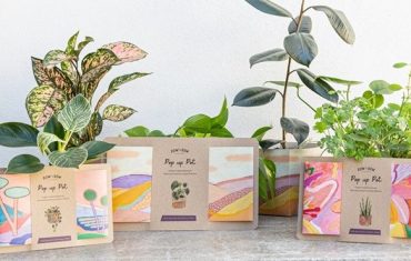 Aussie eco giftware brand collaborates with local artist on new range