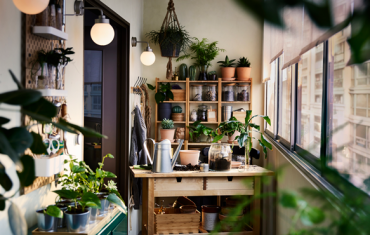 IKEA Australia launches first sustainable living shop