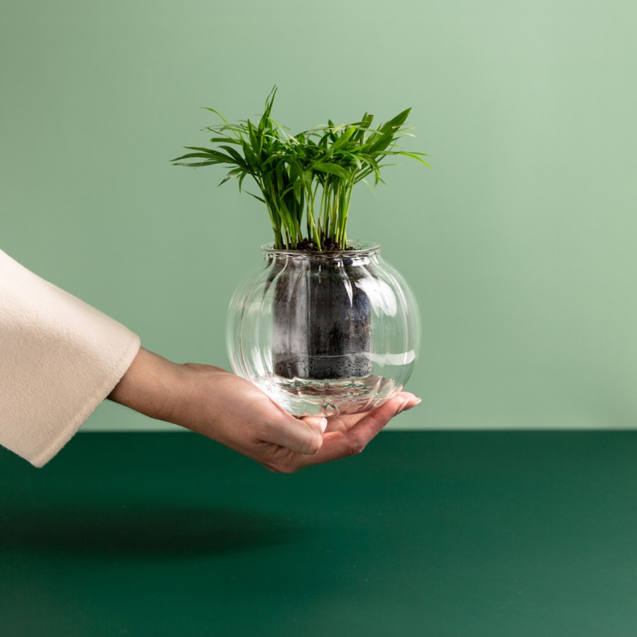 CUP O FLORA