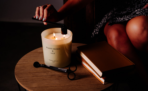 Cereria Molla Velvet Wood Candle – Innovative Home Brands